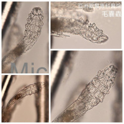 "蟲"出江湖!! "蟲"出江湖!!