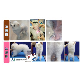 從無毛到爆毛!!! 從無毛到爆毛!!!