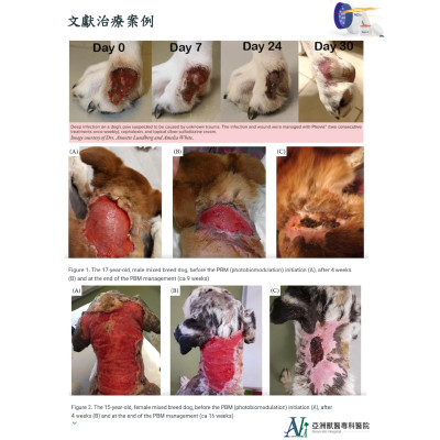 全台獨家｜本院引進最新歐美澳--螢光光療技術(動物專用)