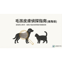 12/14 專業獸醫的皮膚偵探筆記：破解毛孩搔癢的世紀懸案