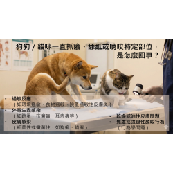 12/9 【獸醫來解惑】毛孩抓到懷疑狗生?寵物皮膚科醫師的大哉問與解答集! 12/9 【獸醫來解惑】毛孩抓到懷疑狗生?寵物皮膚科醫師的大哉問與解答集!