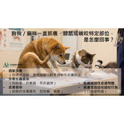 12/9 【獸醫來解惑】毛孩抓到懷疑狗生？寵物皮膚科醫師的大哉問與解答集！