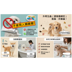 【獸醫來解惑】毛孩抓到懷疑狗生?寵物皮膚科醫師的大哉問與解答集! 【獸醫來解惑】毛孩抓到懷疑狗生?寵物皮膚科醫師的大哉問與解答集!