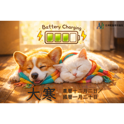 1/20 寒流來襲，毛皮大衣也擋不住？犬貓皮膚與中獸醫雙專科教您「大寒」頂級養生術