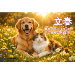 2/4 如何透過穴位按摩幫主子「疏肝理氣」及春季食療菜單