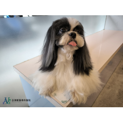 感謝各大新聞媒體聯合報導