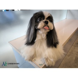 感謝各大新聞媒體聯合報導 感謝各大新聞媒體聯合報導