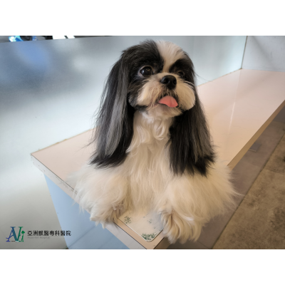 感謝各大新聞媒體聯合報導