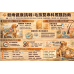 4/17 獸醫沒告訴您的事：穀雨後毛孩狂抓狂咬，背後其實是“它”在搞鬼