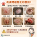 5/21 毛主子抓到肉體出汁？中獸醫兼皮膚專科醫師驚曝： 小滿節氣這「5個雷區」正在摧毀貓狗皮膚！附清熱祛濕食療秘方